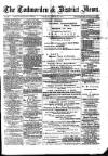 Todmorden & District News Friday 10 April 1874 Page 1