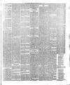 Todmorden & District News Friday 22 March 1895 Page 3