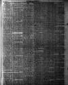 Yarmouth Independent Saturday 03 February 1877 Page 3