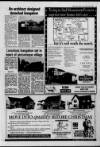 Loughborough Echo Friday 16 November 1990 Page 37