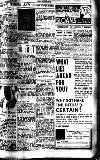 Catholic Standard Friday 06 November 1936 Page 7