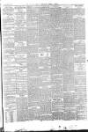 Goole Times Friday 22 March 1878 Page 3