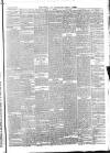 Goole Times Friday 05 April 1878 Page 3