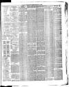 Isle of Wight County Press Saturday 04 May 1895 Page 3