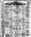 Isle of Wight County Press Saturday 01 February 1902 Page 1