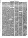 Bridgnorth Journal Saturday 29 March 1856 Page 3