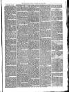 Bridgnorth Journal Saturday 28 January 1865 Page 3