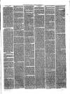 Bridgnorth Journal Saturday 25 August 1866 Page 7