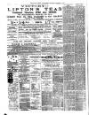 Tower Hamlets Independent and East End Local Advertiser Saturday 18 March 1893 Page 2