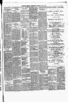 Tower Hamlets Independent and East End Local Advertiser Saturday 08 May 1897 Page 3