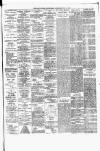 Tower Hamlets Independent and East End Local Advertiser Saturday 22 May 1897 Page 5