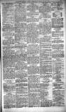 Glasgow Evening Post Wednesday 19 February 1890 Page 5