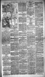 Glasgow Evening Post Thursday 20 February 1890 Page 3
