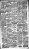 Glasgow Evening Post Wednesday 02 April 1890 Page 3