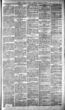 Glasgow Evening Post Saturday 03 January 1891 Page 3