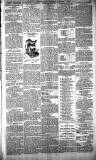 Glasgow Evening Post Thursday 01 October 1891 Page 5