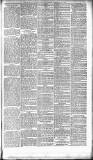 Glasgow Evening Post Saturday 20 February 1892 Page 3