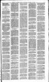 Glasgow Evening Post Wednesday 19 October 1892 Page 3