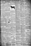 Glasgow Evening Post Monday 10 April 1893 Page 3