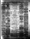 Craven Herald Saturday 13 January 1877 Page 6