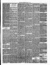 Annandale Observer and Advertiser Friday 17 January 1873 Page 3