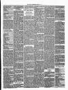 Annandale Observer and Advertiser Friday 21 March 1873 Page 3