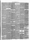 Annandale Observer and Advertiser Friday 04 April 1873 Page 3