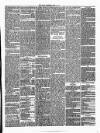 Annandale Observer and Advertiser Friday 11 April 1873 Page 3