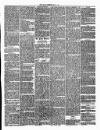 Annandale Observer and Advertiser Friday 09 May 1873 Page 3