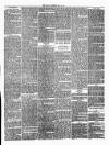 Annandale Observer and Advertiser Friday 30 May 1873 Page 3