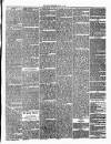 Annandale Observer and Advertiser Friday 11 July 1873 Page 3