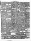 Annandale Observer and Advertiser Friday 15 August 1873 Page 3