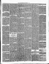 Annandale Observer and Advertiser Friday 19 September 1873 Page 3