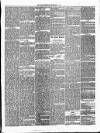 Annandale Observer and Advertiser Friday 26 September 1873 Page 3