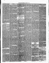 Annandale Observer and Advertiser Friday 17 October 1873 Page 3