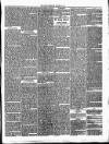 Annandale Observer and Advertiser Friday 24 October 1873 Page 3