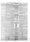Wigan Observer and District Advertiser Saturday 13 April 1878 Page 7