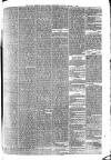 Wigan Observer and District Advertiser Saturday 27 March 1880 Page 12