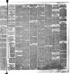 Wigan Observer and District Advertiser Saturday 02 February 1889 Page 7