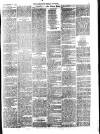 Lowestoft Journal Saturday 13 December 1873 Page 3