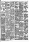 Lowestoft Journal Saturday 24 January 1874 Page 5