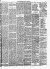 Lowestoft Journal Saturday 21 March 1874 Page 3