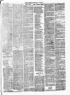 Lowestoft Journal Saturday 16 May 1874 Page 3