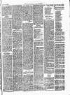 Lowestoft Journal Saturday 23 May 1874 Page 3