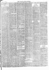 Lowestoft Journal Saturday 18 July 1874 Page 3