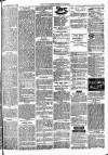 Lowestoft Journal Saturday 21 November 1874 Page 7