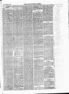 Lowestoft Journal Saturday 02 January 1875 Page 3