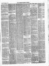 Lowestoft Journal Saturday 27 February 1875 Page 3