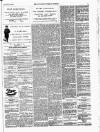 Lowestoft Journal Saturday 13 March 1875 Page 5