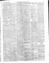 Lowestoft Journal Saturday 20 November 1875 Page 3